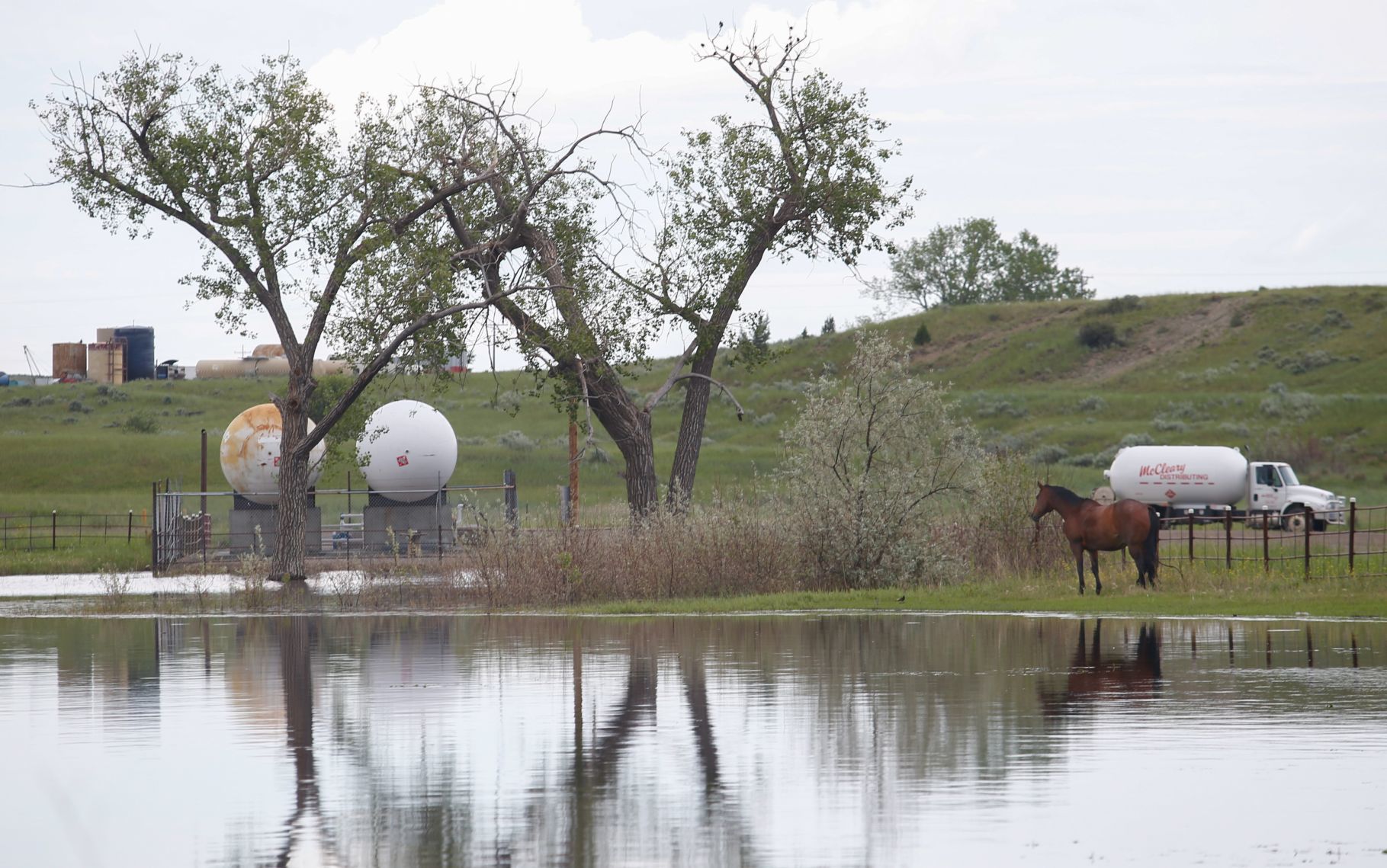 Musselshell flooding